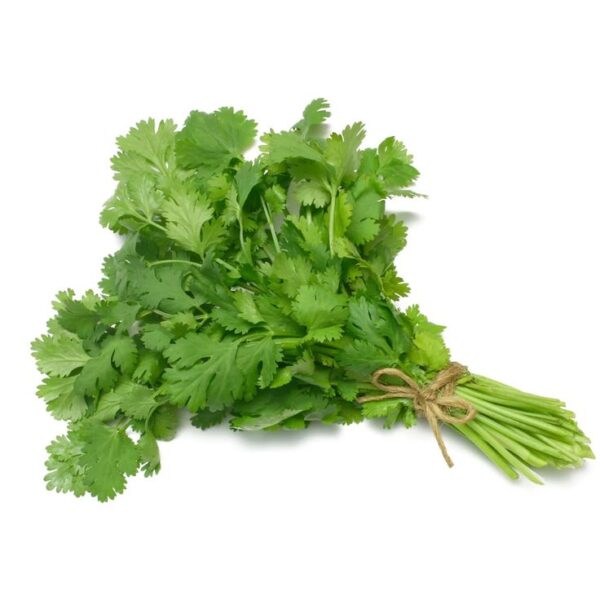 Coriander Leaves, 100 g | Fresh, Aromatic & Flavorful Herb