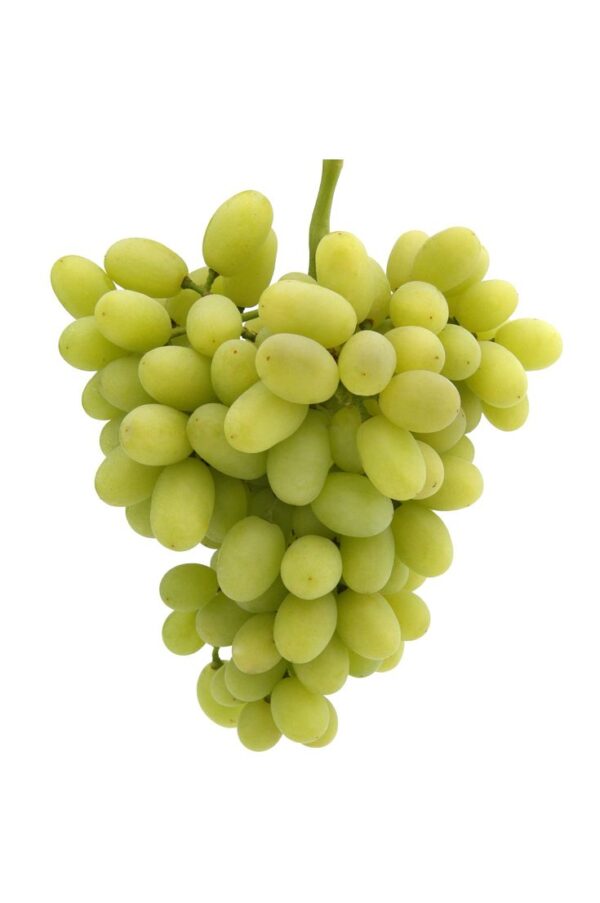 Fresh Green Grapes, 500g – Farm Fresh & Juicy Fruit