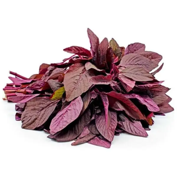 Fresh Amaranthus (Lal Shak) – Without Roots
