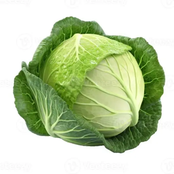Fresh Cabbage (Badha Kopi) – 1 Pc